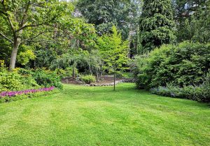 Optimiser l'expérience du jardin à Arrigny